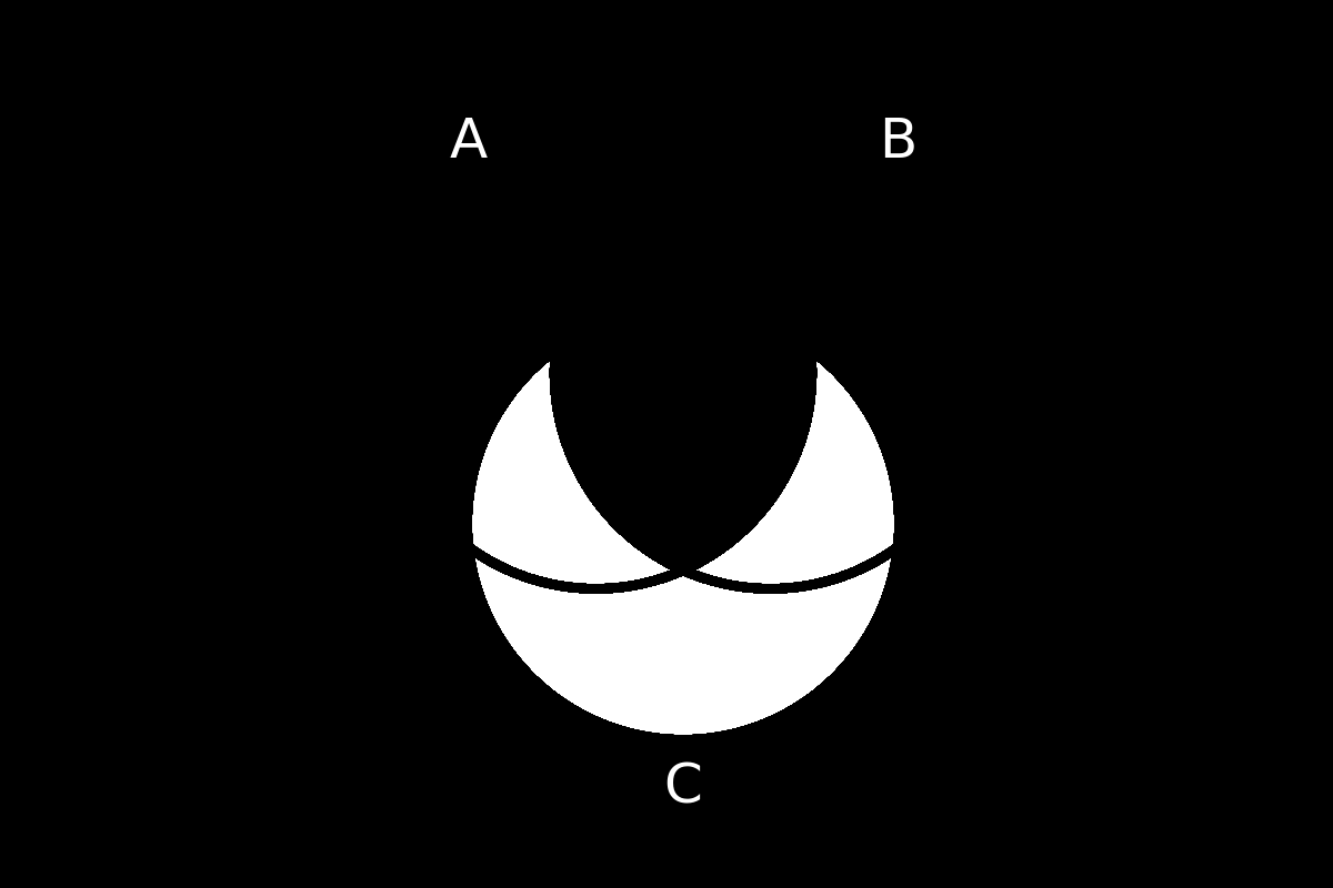 venn diagram 171