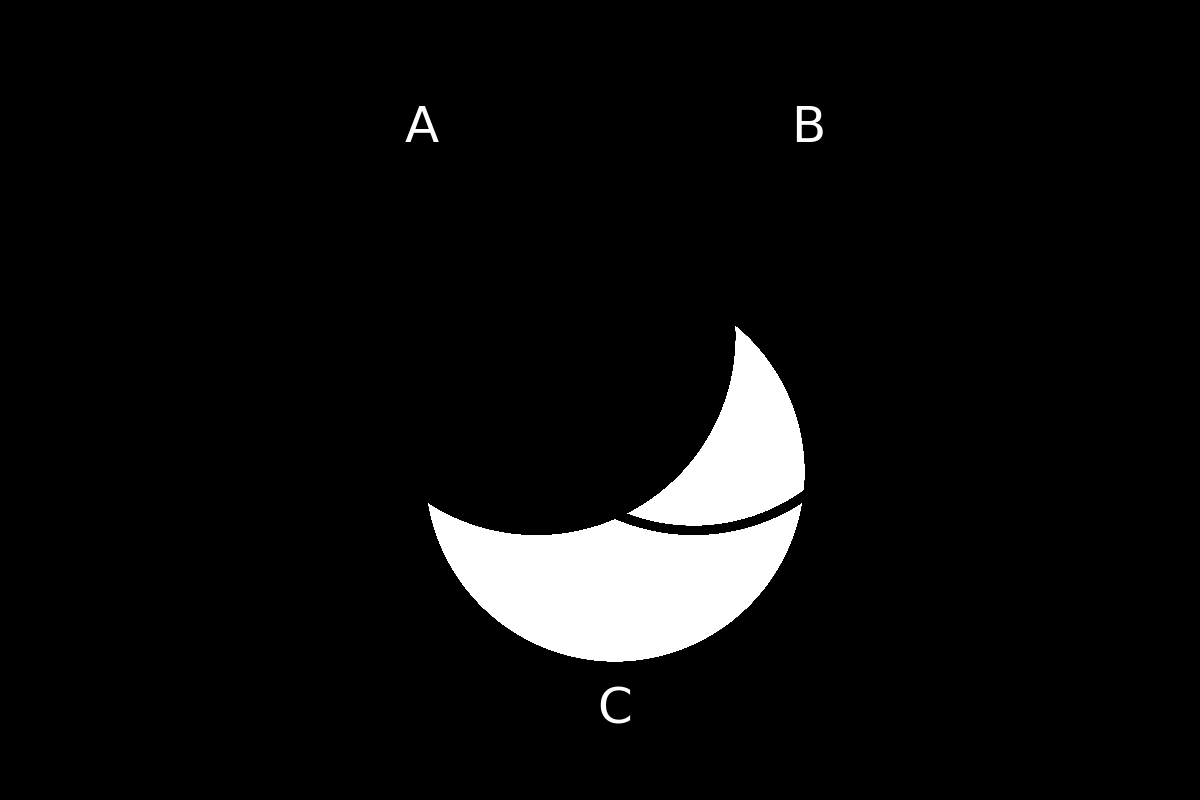 venn diagram 175