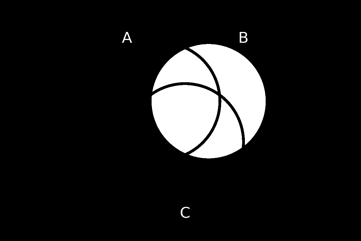 venn diagram 204