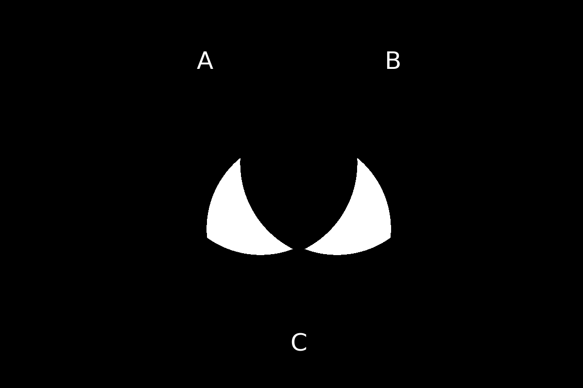 venn diagram 235